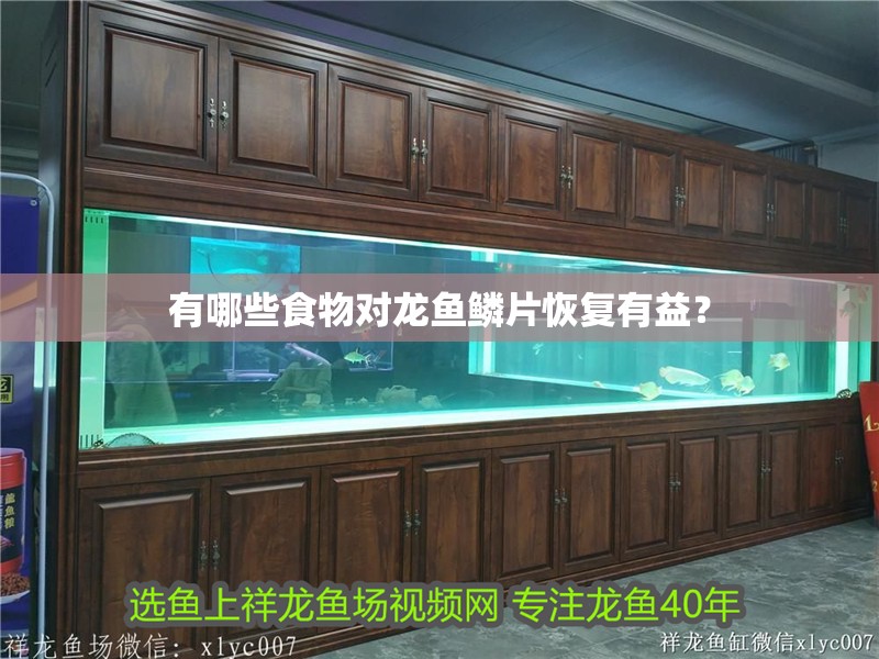 有哪些食物對(duì)龍魚鱗片恢復(fù)有益？