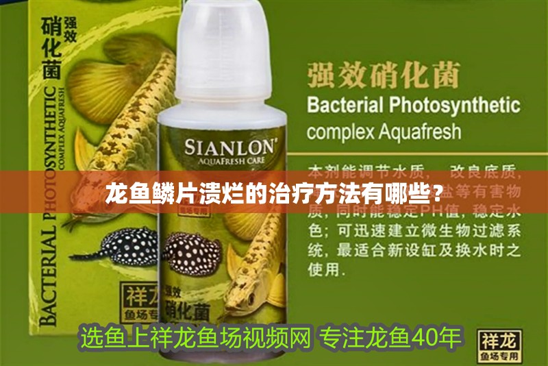 龍魚鱗片潰爛的治療方法有哪些？