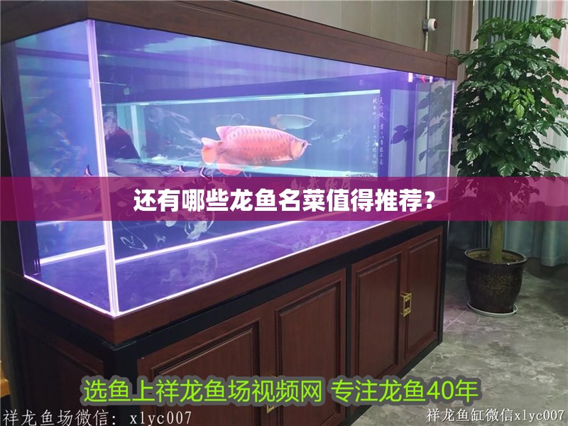 還有哪些龍魚名菜值得推薦？ 還有哪些龍魚名菜值得推薦？ 龍魚百科
