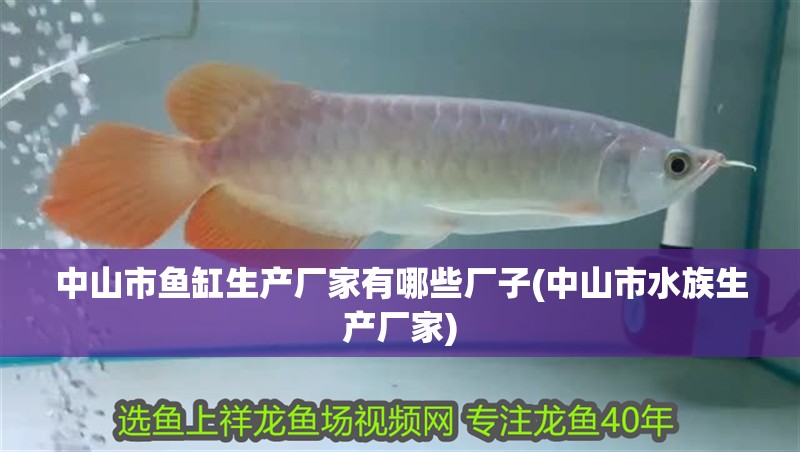 中山市魚缸生產廠家有哪些廠子(中山市水族生產廠家)