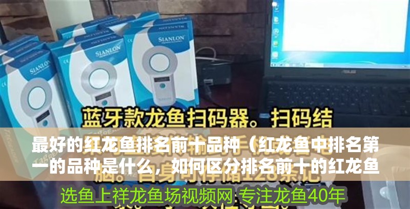 最好的紅龍魚排名前十品種（紅龍魚中排名第一的品種是什么，如何區分排名前十的紅龍魚品種）