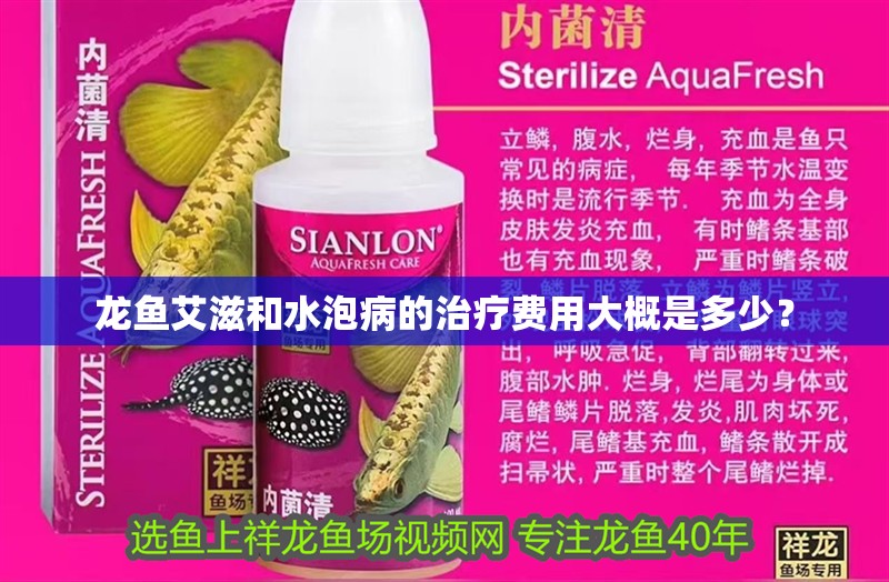 龍魚艾滋和水泡病的治療費用大概是多少？