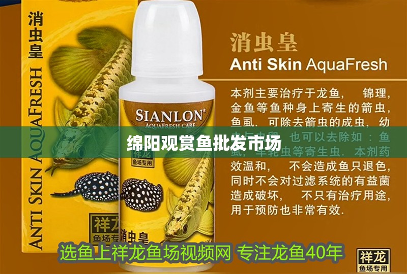 綿陽觀賞魚批發市場