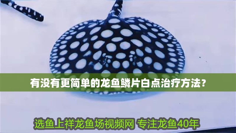 有沒有更簡單的龍魚鱗片白點治療方法？