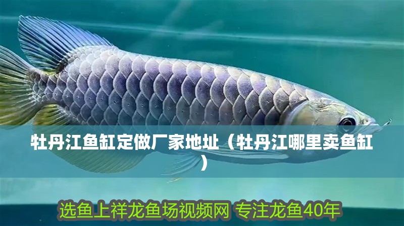 牡丹江魚缸定做廠家地址（牡丹江哪里賣魚缸）