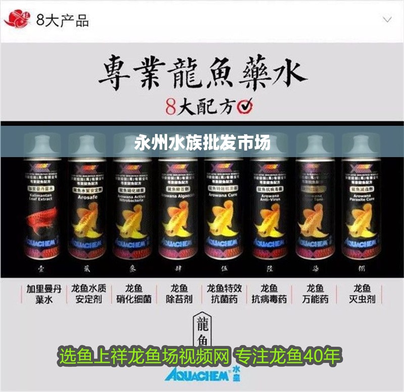 永州水族批發(fā)市場