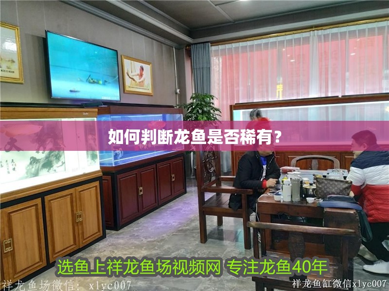 如何判斷龍魚是否稀有？