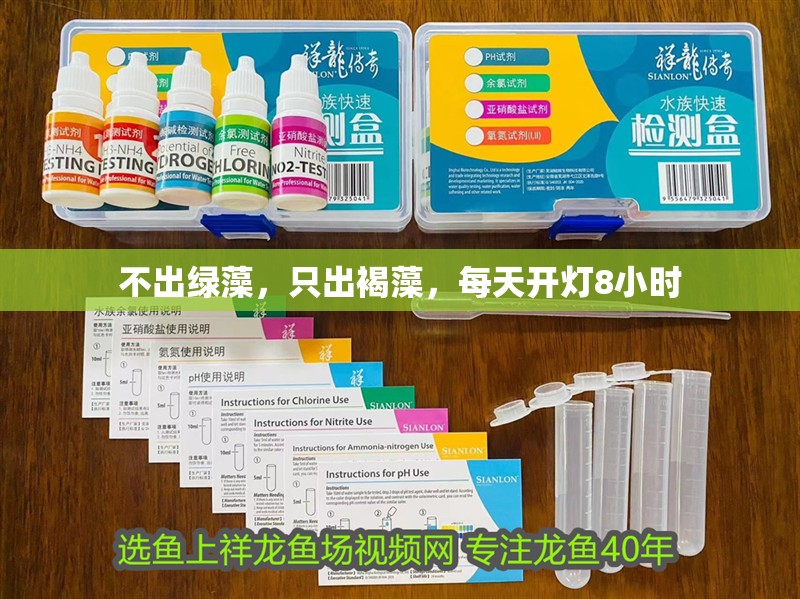 不出綠藻，只出褐藻，每天開燈8小時(shí)