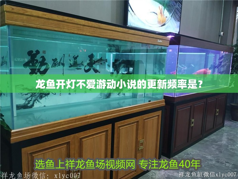 龍魚開燈不愛游動小說的更新頻率是？