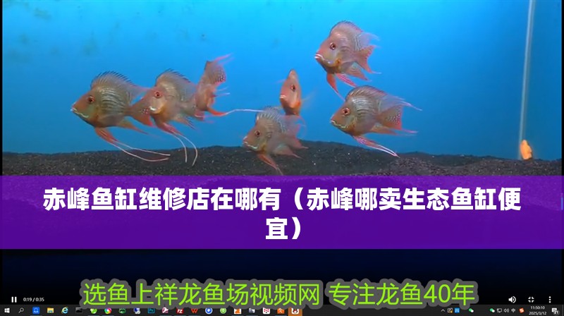 赤峰魚缸維修店在哪有（赤峰哪賣生態(tài)魚缸便宜）