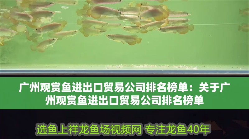 廣州觀賞魚進出口貿易公司排名榜單：關于廣州觀賞魚進出口貿易公司排名榜單