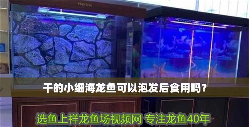 干的小細海龍魚可以泡發后食用嗎？