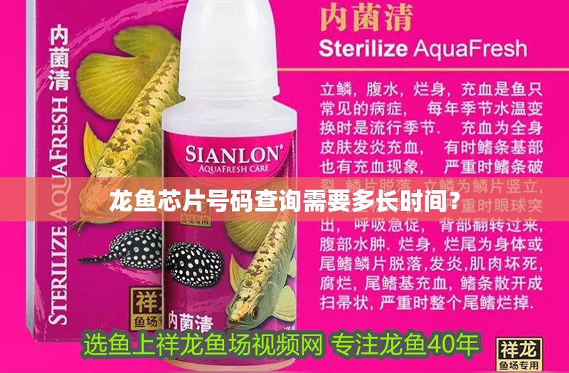 龍魚芯片號碼查詢需要多長時間？