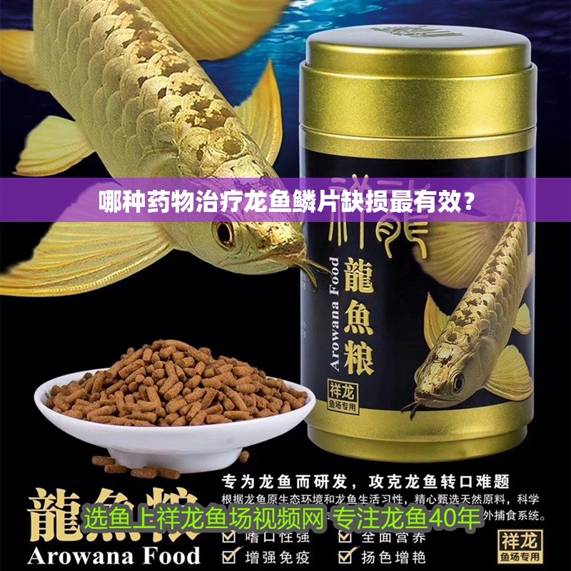 哪種藥物治療龍魚鱗片缺損最有效？