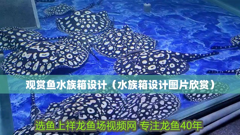 觀賞魚水族箱設計（水族箱設計圖片欣賞）