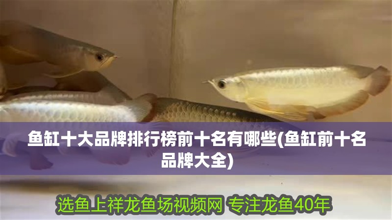 魚缸十大品牌排行榜前十名有哪些(魚缸前十名品牌大全)