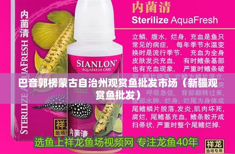 巴音郭楞蒙古自治州觀賞魚批發(fā)市場(chǎng)（新疆觀賞魚批發(fā)）