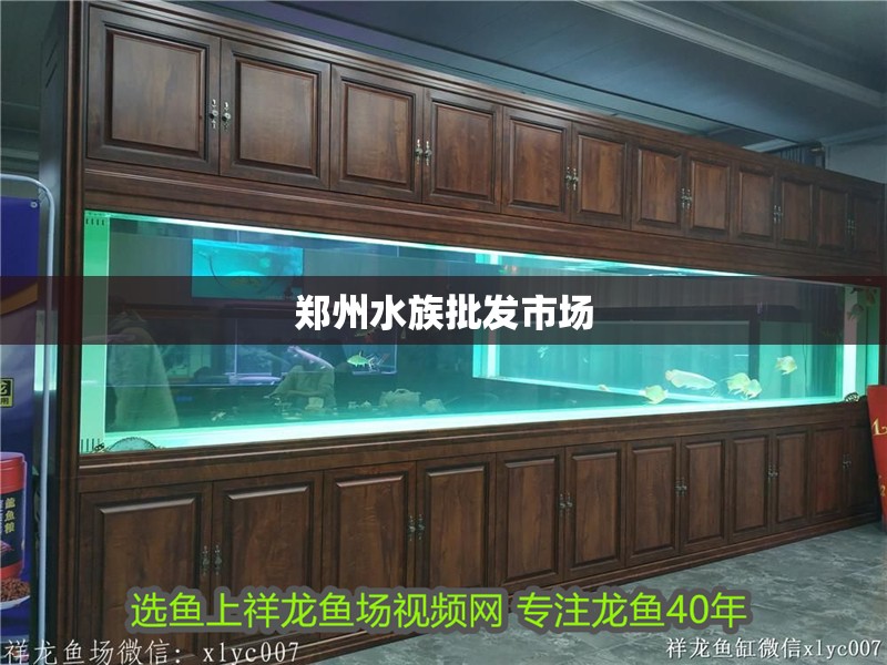 鄭州水族批發市場