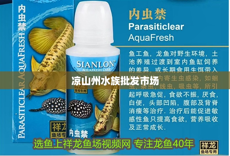 涼山州水族批發市場