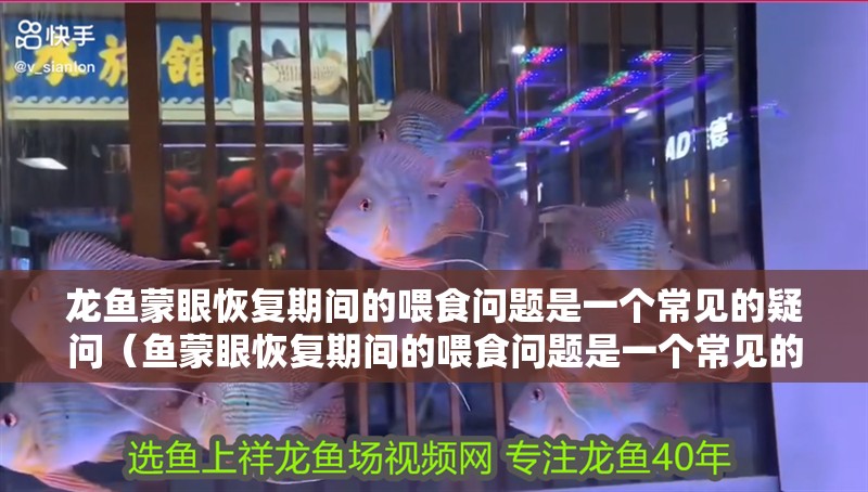 龍魚蒙眼恢復(fù)期間的喂食問題是一個(gè)常見的疑問（魚蒙眼恢復(fù)期間的喂食問題是一個(gè)常見的疑問）