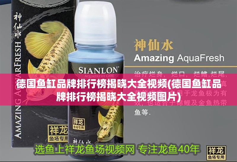 德國魚缸品牌排行榜揭曉大全視頻(德國魚缸品牌排行榜揭曉大全視頻圖片)