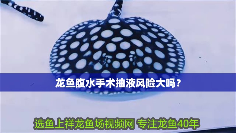 龍魚腹水手術抽液風險大嗎？