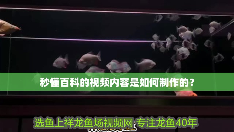 秒懂百科的視頻內容是如何制作的？