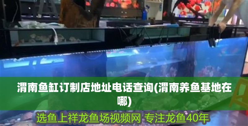 渭南魚(yú)缸訂制店地址電話查詢(渭南養(yǎng)魚(yú)基地在哪)