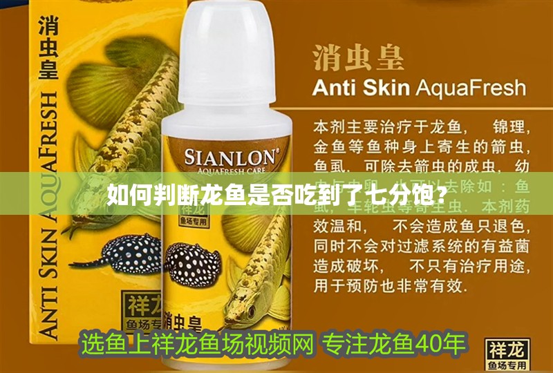 如何判斷龍魚是否吃到了七分飽？