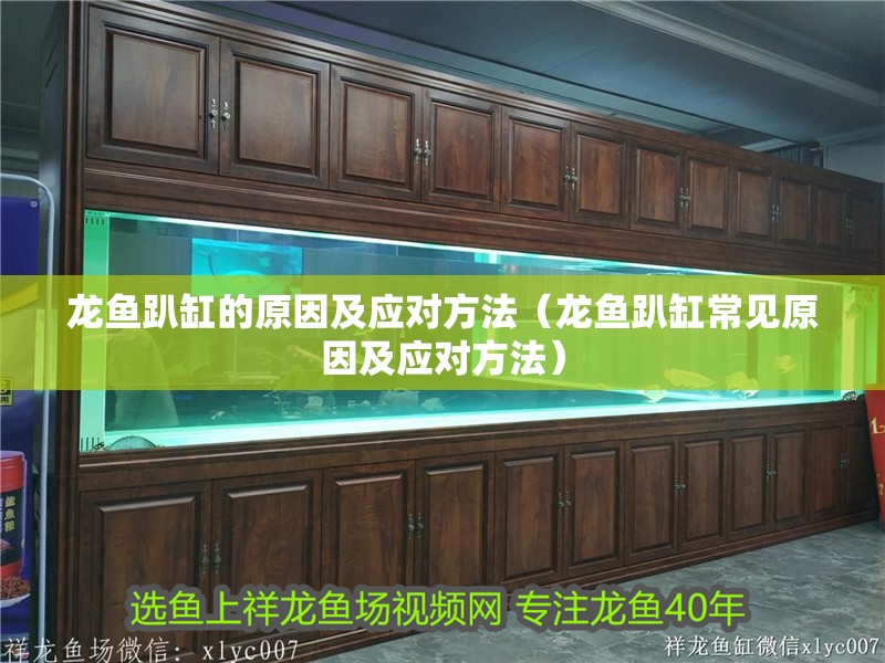 龍魚趴缸的原因及應對方法（龍魚趴缸常見原因及應對方法）