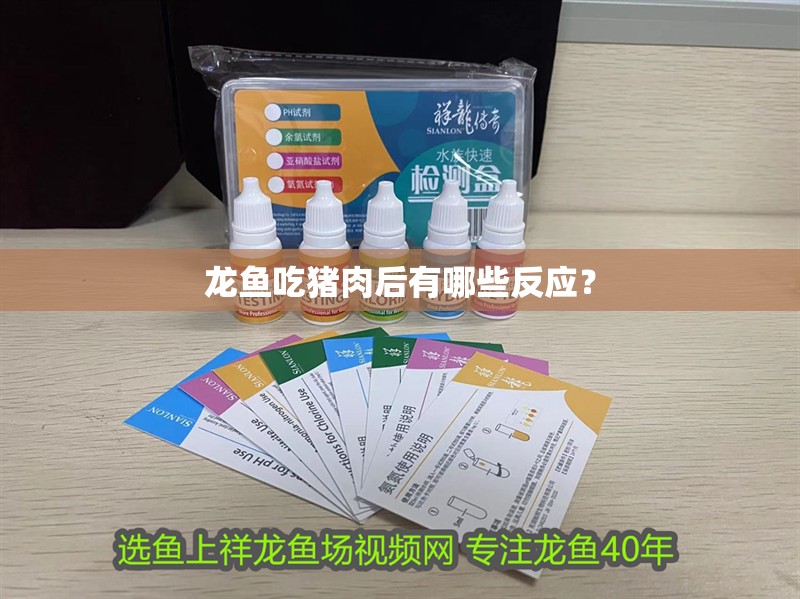 龍魚吃豬肉后有哪些反應(yīng)？