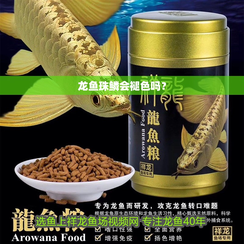 龍魚珠鱗會褪色嗎？