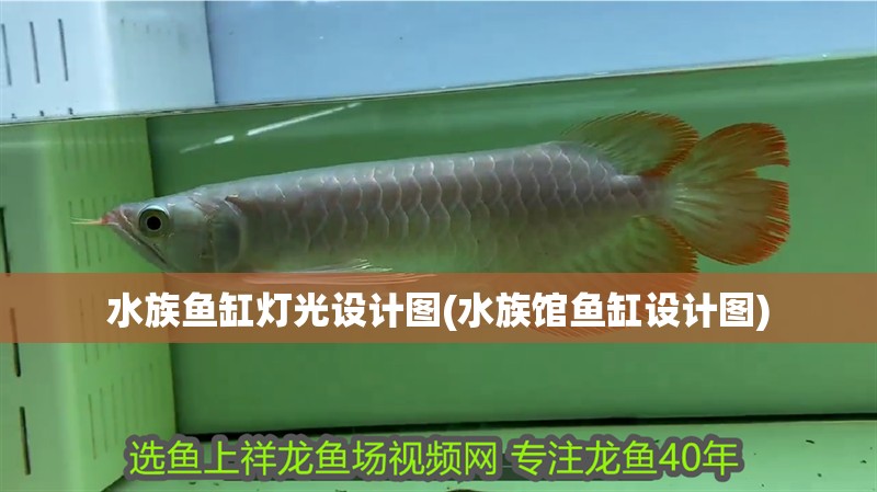 水族魚缸燈光設計圖(水族館魚缸設計圖)