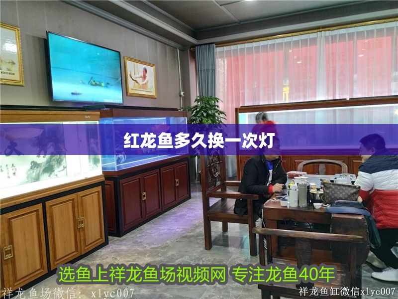 紅龍魚(yú)多久換一次燈