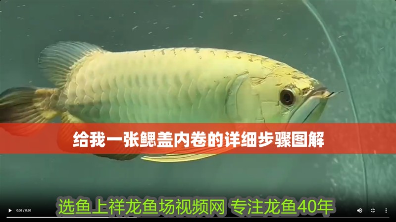 給我一張鰓蓋內(nèi)卷的詳細(xì)步驟圖解