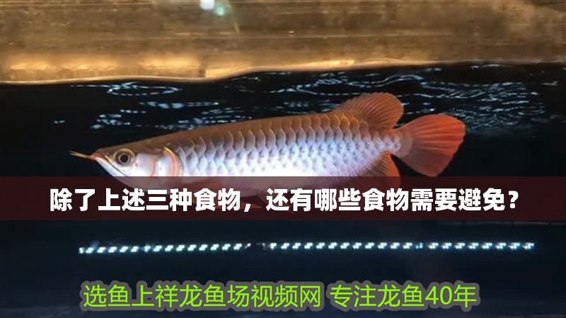 除了上述三種食物，還有哪些食物需要避免？