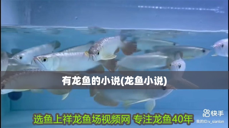 有龍魚的小說(龍魚小說) 有龍魚的小說(龍魚小說) 觀賞魚百科