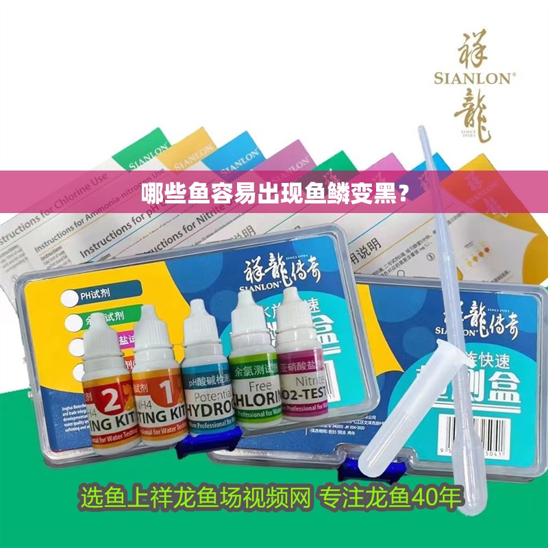 哪些魚(yú)容易出現(xiàn)魚(yú)鱗變黑？ 哪些魚(yú)容易出現(xiàn)魚(yú)鱗變黑？ 龍魚(yú)百科