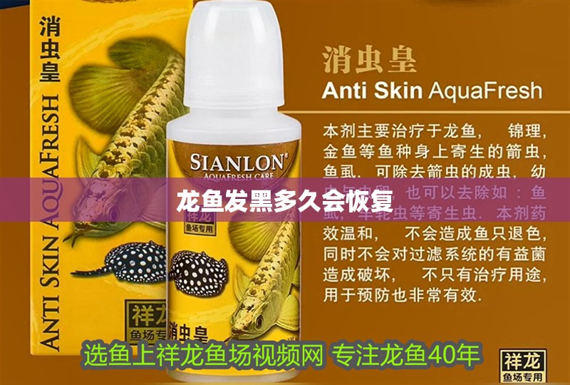 龍魚發(fā)黑多久會(huì)恢復(fù)