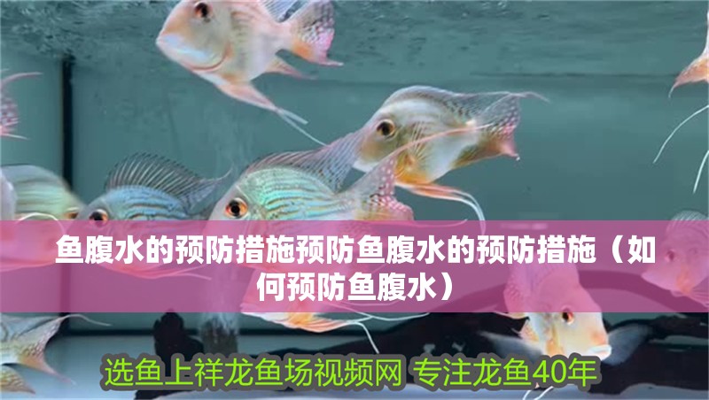 魚腹水的預防措施預防魚腹水的預防措施（如何預防魚腹水）