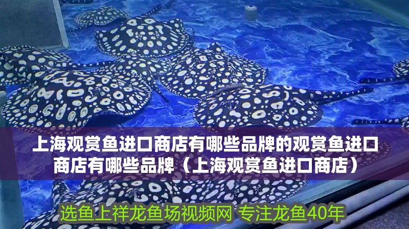 上海觀賞魚進口商店有哪些品牌的觀賞魚進口商店有哪些品牌（上海觀賞魚進口商店）