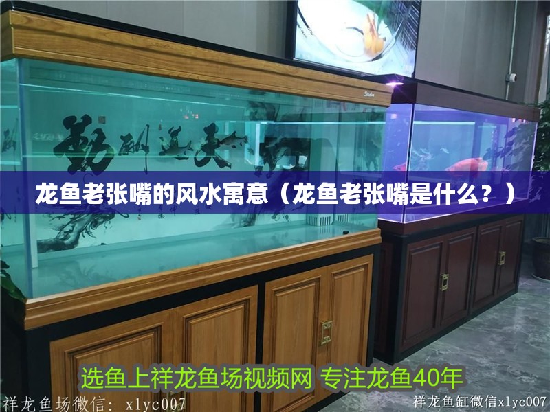 龍魚老張嘴的風(fēng)水寓意（龍魚老張嘴是什么？）