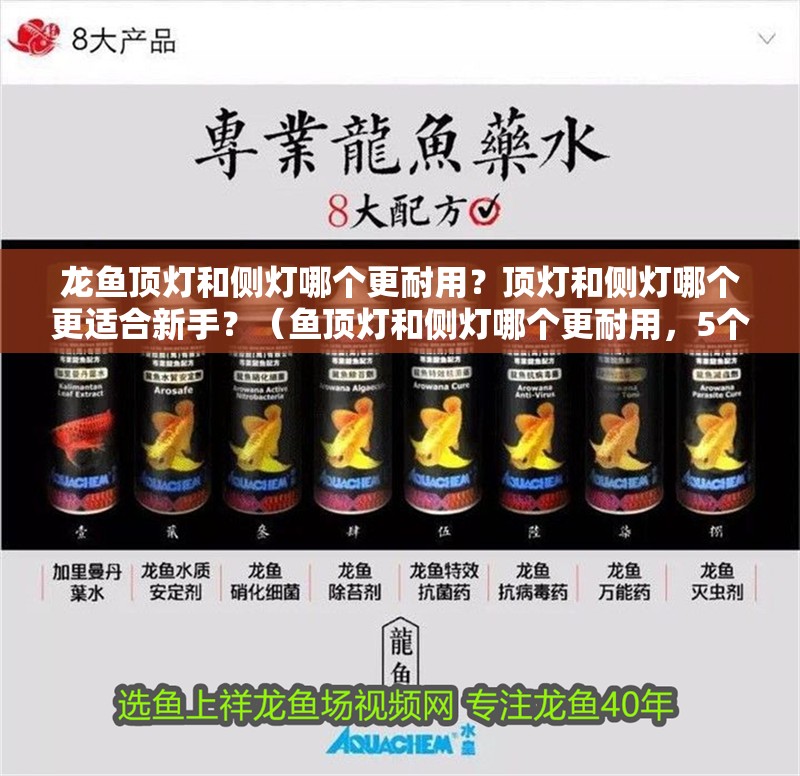 龍魚頂燈和側燈哪個更耐用？頂燈和側燈哪個更適合新手？（魚頂燈和側燈哪個更耐用，5個關鍵參數和常見錯誤，避免失誤~）