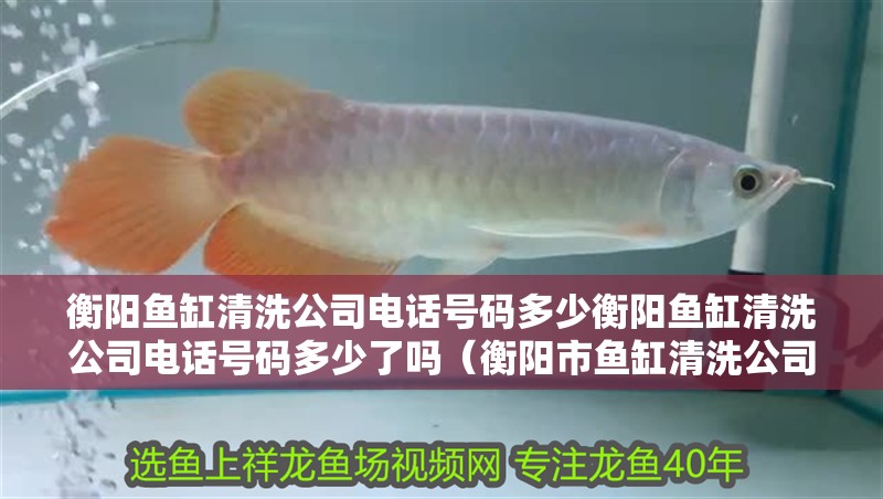 衡陽(yáng)魚(yú)缸清洗公司電話號(hào)碼多少衡陽(yáng)魚(yú)缸清洗公司電話號(hào)碼多少了嗎（衡陽(yáng)市魚(yú)缸清洗公司電話號(hào)碼多少）