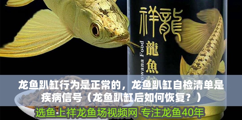 龍魚趴缸行為是正常的，龍魚趴缸自檢清單是疾病信號（龍魚趴缸后如何恢復？）
