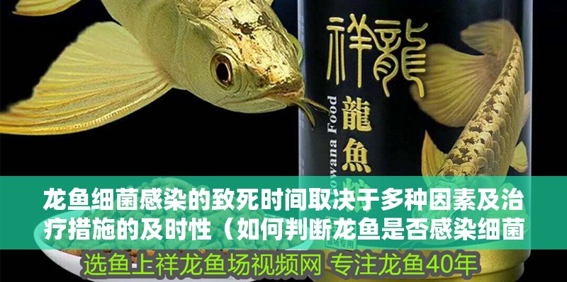 龍魚細菌感染的致死時間取決于多種因素及治療措施的及時性（如何判斷龍魚是否感染細菌？）