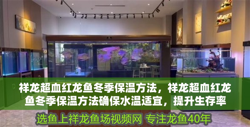 祥龍超血紅龍魚冬季保溫方法，祥龍超血紅龍魚冬季保溫方法確保水溫適宜，提升生存率