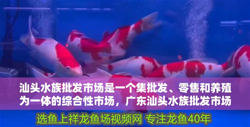 汕頭水族批發市場是一個集批發、零售和養殖為一體的綜合性市場，廣東汕頭水族批發市場