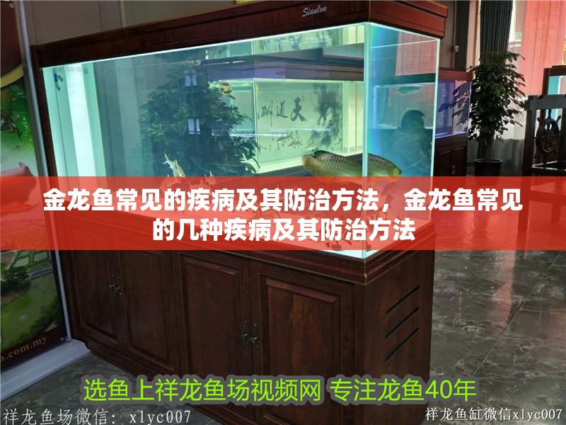 金龍魚常見的疾病及其防治方法，金龍魚常見的幾種疾病及其防治方法