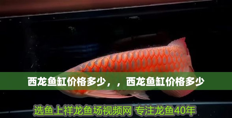 西龍魚缸價格多少，，西龍魚缸價格多少